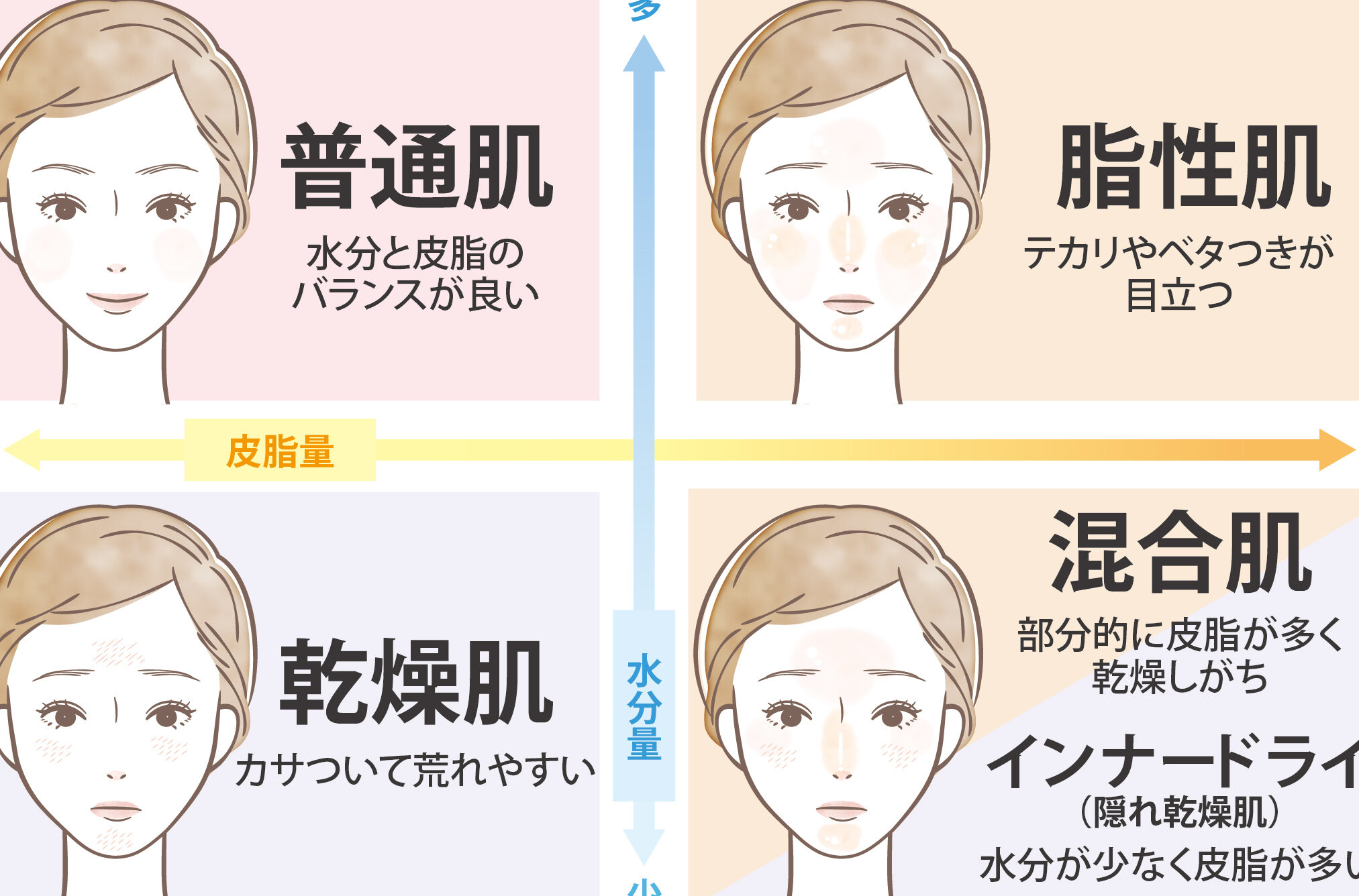 脂性肌はどうやって治すの？原因と対策を解説しま?